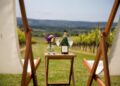 Vineyard unveils summer programme of wine, food and live music events