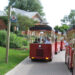 Hamilton Waterfront Trolley Tour full of people on a sunny summer day