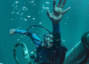 'Whalefall' trailer dares to ask: But what if you got swallowed by a whale?
