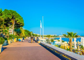 What Cannes’ Entertainment Lions reveal about the new rules of relevance