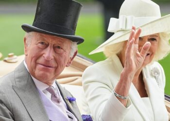 What King Charles' historic tax disclosure reveals and what it hides