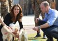 What Pets Do Members of the Royal Family Have?