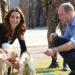 What Pets Do Members of the Royal Family Have?