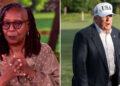 Whoopi Goldberg jokingly pretended to cry over Trump’s recent losses. @theview/youtube; MEGA
