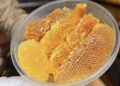 GettyImages-1569481904.Honey-Perfume-Is-the-Sweet-Home-Fragrance-Trend-Taking-Over-2026jpg.jpg