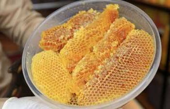 GettyImages-1569481904.Honey-Perfume-Is-the-Sweet-Home-Fragrance-Trend-Taking-Over-2026jpg.jpg