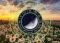 Your horoscope for the week ahead: Cancer season could bring some big emotional waves