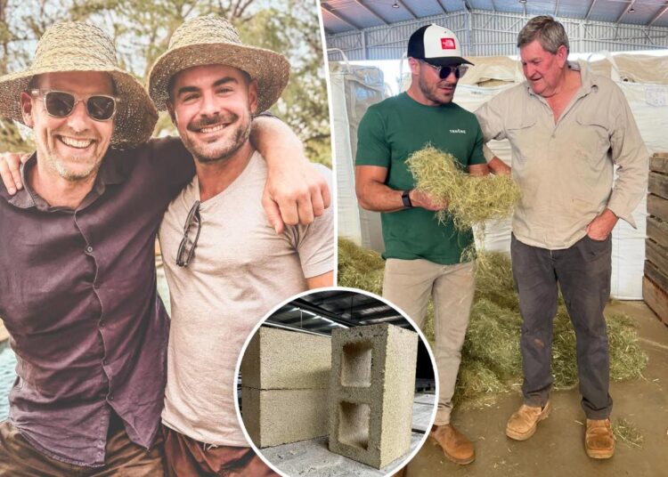 Zac Efron secretly building dream home in massive remote Australia rainforest, developer reveals
