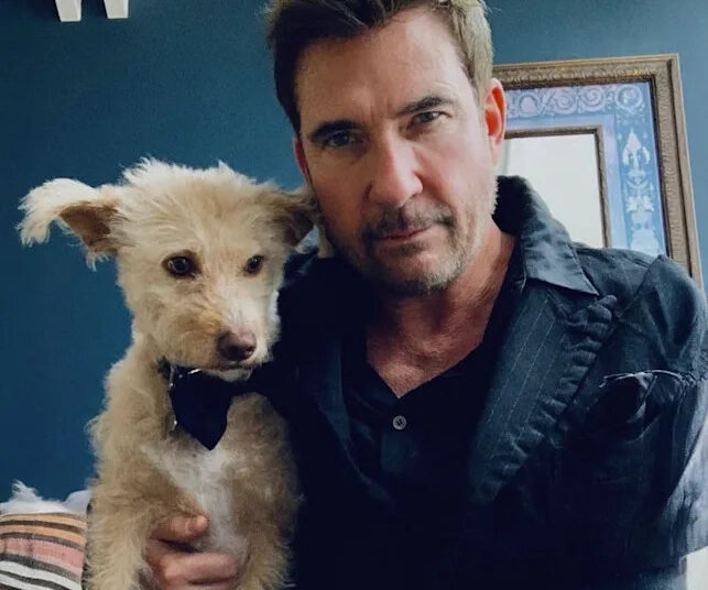 A man in a dark shirt poses indoors next to a small, scruffy tan dog wearing a black bow tie. They are both looking at the camera. There is a blue wall and a framed picture in the background.