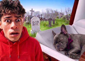 GOODBYE GUCCI…😭💔 Ferran’s Saddest Day Ever! (Royalty Family Quiz)