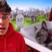 GOODBYE GUCCI…😭💔 Ferran’s Saddest Day Ever! (Royalty Family Quiz)
