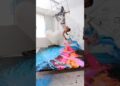 This Artist Made $50,000 Using a Bucket 😳
