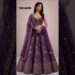 Purple royalty✨💜The ultimate outfit breakdown you didn’t know you needed#EthnicWear#LehengaCholi