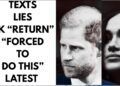 “UP IN AIR” THE TRUTH IS THIS , SECURITY , LIES, FAKE #royal #princeharry #meghan
