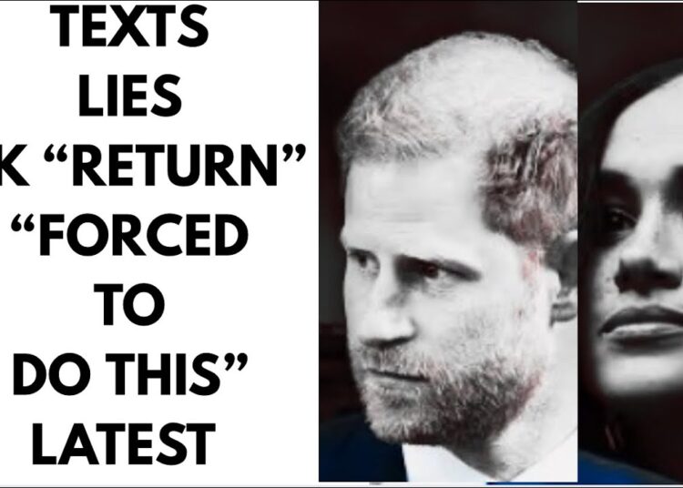 “UP IN AIR” THE TRUTH IS THIS , SECURITY , LIES, FAKE #royal #princeharry #meghan