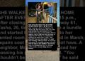 Waitress Walks Eight Miles, Neighbor Buys Her Car #hollywood #shorts #celebrity