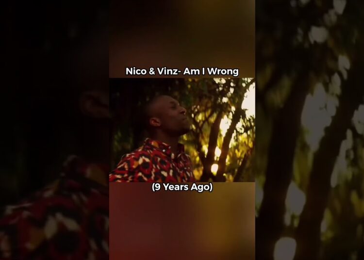 Artists that made one hit then fell off