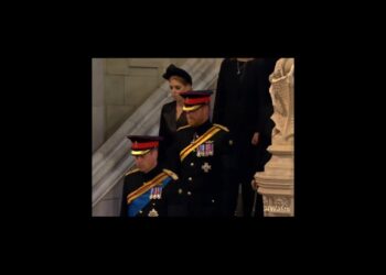 Grandchildren Of Queen Elizabeth At Her Funeral #uk #queenelizabeth #britishroyalfamily #royalty