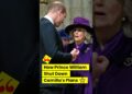 He knew it, Camilla #royal #princewilliam #camilla #kingcharles #princegeorge