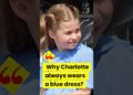 Why always blue?? #royal #charlotte #princesscatherine #royalfamily #shorts