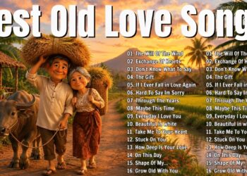 Timeless Oldies But Goodies Love Songs💖Romantic Classics 70s 80s 90s Hits | Beautiful Love songs 80s