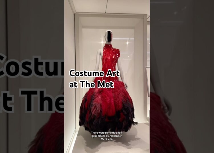 FINALLY reviewing Costume Art at the Met 🤓✨#metgala #arthistory #fashionhistory