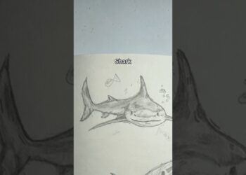 #drawing #art #animalart #artist #sketch #drawingprocess