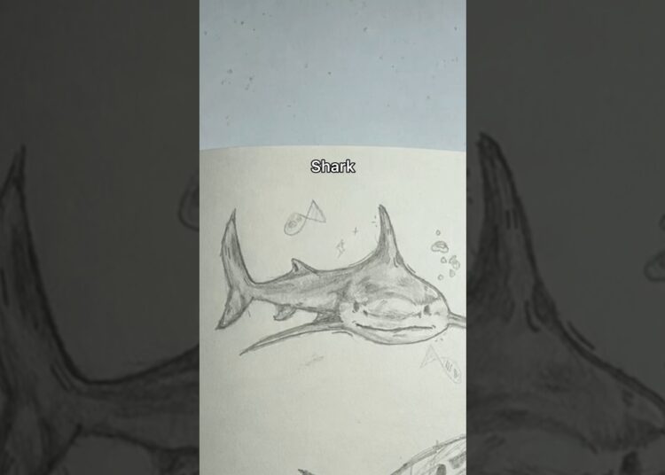 #drawing #art #animalart #artist #sketch #drawingprocess