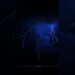 Royalty – Lyrics | Egzod | Maestro Chives | slowed + reverb | aesthetic | sped up | edit