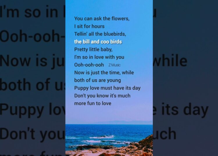 Pretty little baby (Lyrics) Connie Francis #lyrics