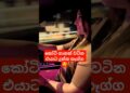 #trendingshorts #newcar #luxury #hybrid #srilanka #srilankaactress #celebrity #youtubeshorts