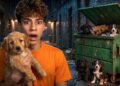 Our Most EMOTIONAL Animal Rescues.. | The Royalty Family