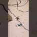 This Tiny Spider Made An Artist A Millionaire 😳