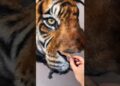 The Artist’s Dream: A Realistic Tiger Painting
