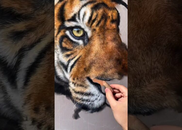 The Artist’s Dream: A Realistic Tiger Painting