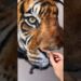 The Artist’s Dream: A Realistic Tiger Painting