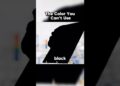 Why One Artist Owned The Darkest Black