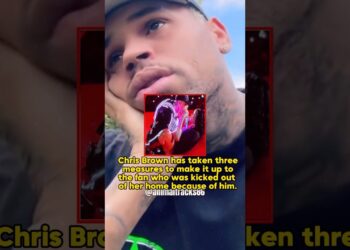 #shorts #shortvideo #celebrity #chrisbrown #usa #concert #viral #memes #usatoday #fypp