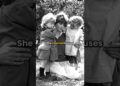 Princess Diana worked as a nanny 🤯 #kingcharles #royalfamily #wedding #royal #princess #royalfamily