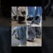 The Art and Artists…✨🎭☠️ ahmmm ✨🌚…#1millionviews #asthetic #fypシ゚viral #foryou #viral #shorts