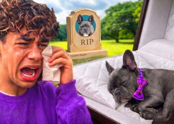GOODBYE GUCCI… 😿🖤 Ferran’s Saddest Moment EVER! (Royalty Family Quiz)