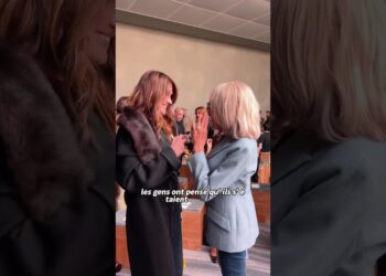 Brigitte Macron? #shortvideo #shorts #brigittemacron #celebrity