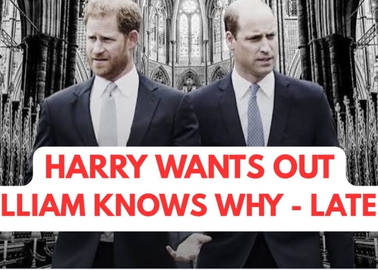 HARRY REALLY DOES WANT OUT WILLIAM TO THE RESCUE? #princeharrymeghan #royal #trapped