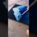 Painting ✨ #art #painting #artist #artwork #acrylicpainting #shorts #youtubeshorts #viral #trending
