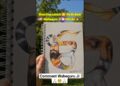 Ik Onkar ☬ #artshorts #art #youtubeshorts #hyperrealism #gurunanakdevji #gurugobindsinghji #fypシ
