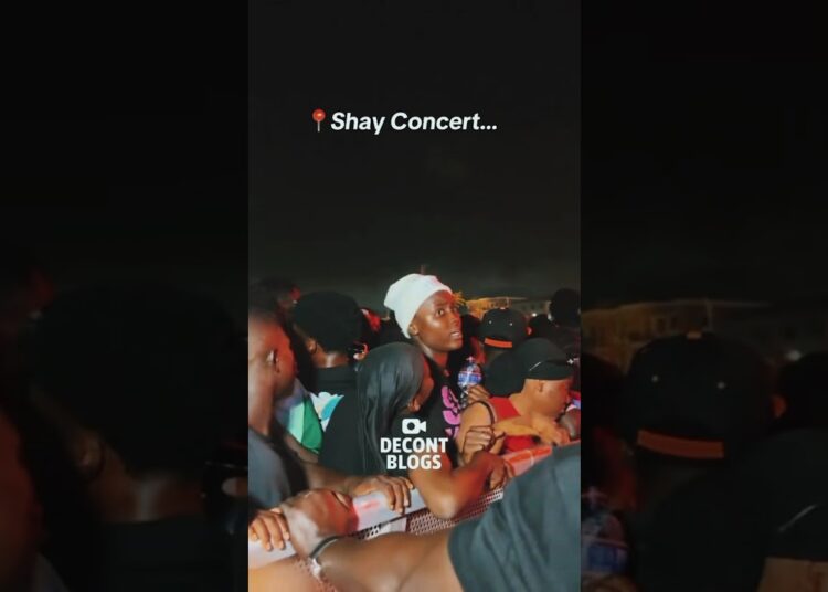Command #Shorts #music #ugandanmusic