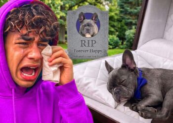GOODBYE GUCCI.. 😭💔 Ferran’s Most Heartbreaking Moment! (Royalty Family Quiz)