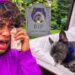 GOODBYE GUCCI.. 😭💔 Ferran’s Most Heartbreaking Moment! (Royalty Family Quiz)