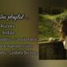 Fantasy vibes playlist | Royalty kingdom songs | top songs #fantasy #playlist #Royalty #fiction