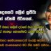 අවුරුදු දෙකකට කලින් සුජීවා කියන්නේ වෙනම චරිතයක්..| කේ. සුජීවා | D – Talk